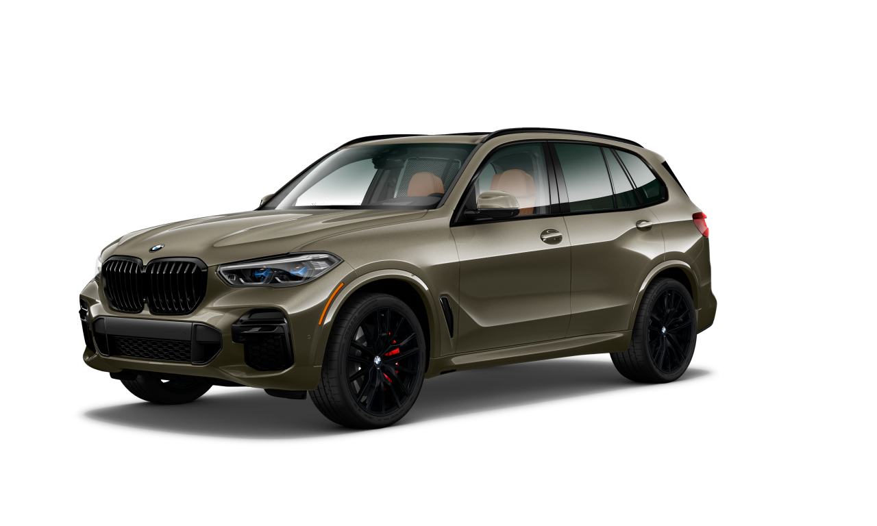 Exterior of BMW X5 xDrive40i (G05), VIN 5UXCR6C02P9N64187