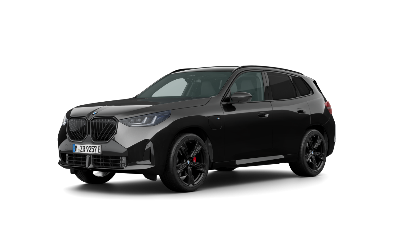 Exterior of 2000 BMW X3 30e xDrive (G45), VIN WBA66GP040N374666